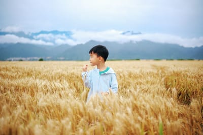 Mindful Growth