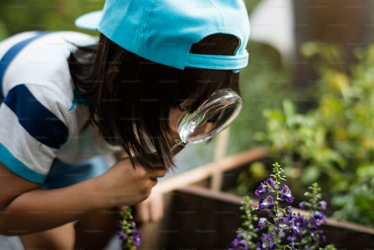The Value of Curiosity in Childhood Learning